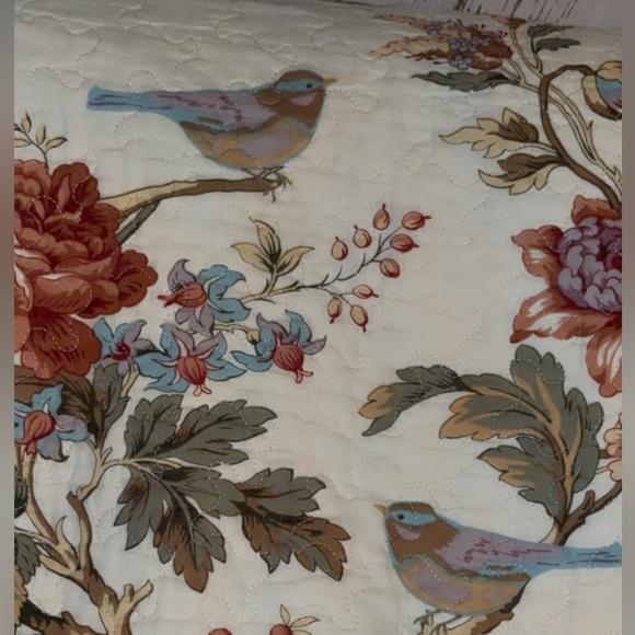 Waverly Charleston Chirp Reverses scalloped Birds Toile cottage farm Full Queen - Picture 8 of 16